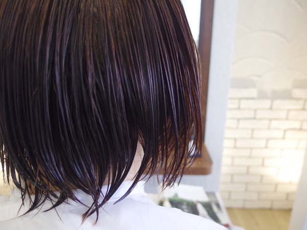 青森市 髪の毛ってお風呂上がりすぐ乾かしたほうがいいの しばらく放置してからだとマズいの Narita Com